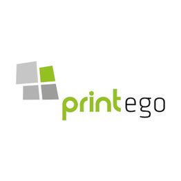 Logo mit grauen und grünen Quadraten links, daneben der Schriftzug "printego" in grün und schwarz.