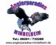 Logo: Adler mit Fisch im Flug. Text: "Anglerparadies Mindelheim". Telefonnummer und Website unten.