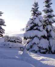 Ferienhaus Erzgebirge / Neuhausen, Seiffen
