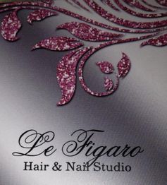 Glitzerndes florales Design mit Text: "Le Figaro Hair & Nail Studio".