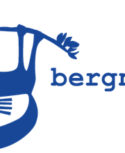 bergner-spinkis Logo