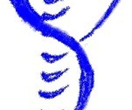 Feldenkrais Bremen Logo