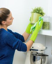 Frau reinigt ein Regal mit Topfpflanzen in der Küche, trägt grüne Gummihandschuhe.