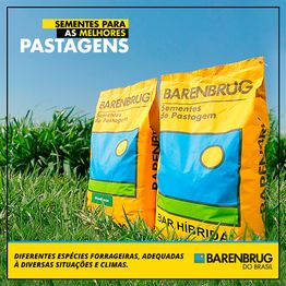 Pacotes de sementes para pastagem Barenbrug no gramado verde sob céu azul. Texto informativo.