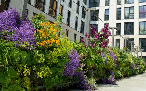 Blumen und andere Pflanzen im Innenhof eines Gebäudes