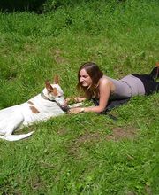 Tierische Gedanken Logo