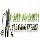 Silhouette of a person with a vacuum next to "Carpet and Air Duct Cleaning Expert" text.