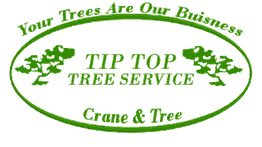 Green oval logo with text: "Tip Top Tree Service. Your Trees Are Our Business. Crane & Tree."