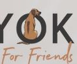 Ayoka for Friends Logo