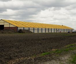 Landwirtschaft