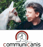 Ein Mann schaut einen weißen Hund an, Logo von Communicanis unten im Bild.