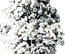 Lebendbau Götz Papke Logo