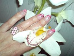 Hand mit rosa Nageldesign hält weiße Orchideenblüte, trägt Ring mit rosa Steinen.