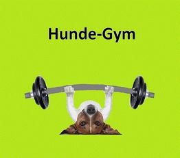 Hund hebt Hantel auf grünem Hintergrund mit Text "Hunde-Gym".