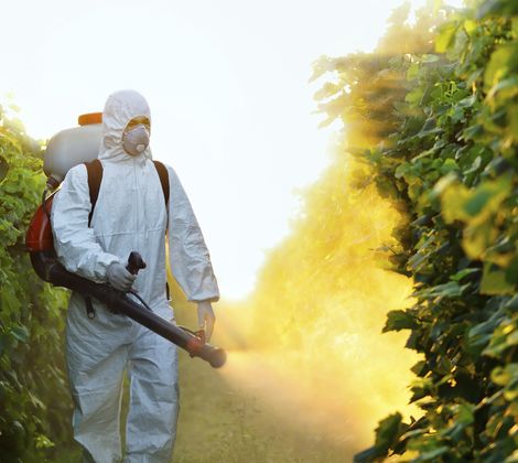 Persona in tuta protettiva spruzza pesticidi in un vigneto al tramonto.