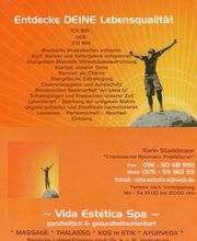 Vida Estética Spa Logo