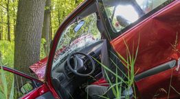 Red car crashed into tree in forest, with visible damage to windshield and door.