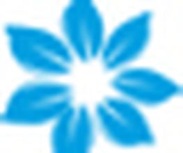 bluehalo.de Logo