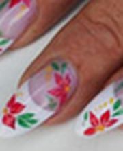 Perfect Nails Nagelstudio Logo