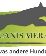 CANIS MERACUS Hundeerziehungsberatung und Mantrailing Coaching Logo