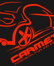 CarMetic Bühner & Struschka GbR Logo