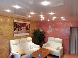 Gemütliches Wohnzimmer mit Ledersofas, Wandbild und Deckenlicht. Pflanzen und Beistelltisch.