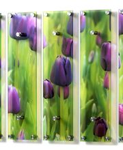 Acryl Garderobe Motiv Tulpen