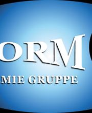 STORM AKADMIE GRUPPE Logo