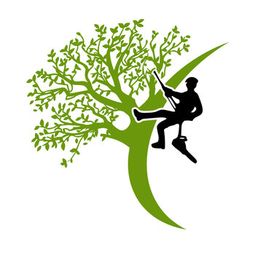 Silhouette d'une personne grimpant à un arbre vert stylisé.