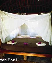 Brettschneider Artikel