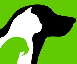 TierTaxi Berlin Logo