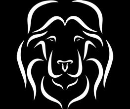 Fine Graphics Logo