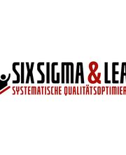 Six Sigma & Lean Logo