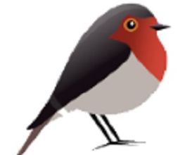 Robin GmbH Logo