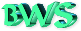 Grüne, dreidimensionale Buchstaben "BWS" auf weißem Hintergrund.