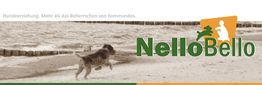 Hund läuft am Strand entlang, daneben "NelloBello"-Logo. Text: Hundeerziehung, mehr als Kommandos.