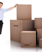 Dienstleistungen Steve Bernhardt Logo