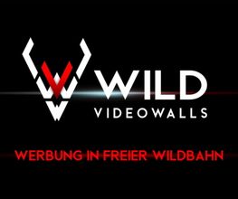 Wild Videowalls Logo
