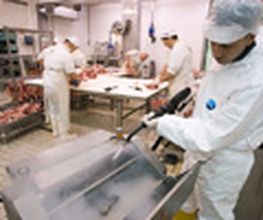 Gastronomie-Reinigung Industrie-Dampf