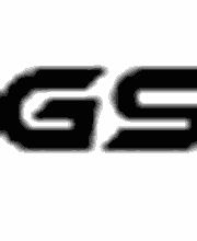 GS-Limousine Logo