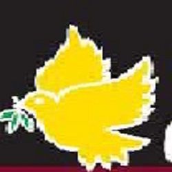 Yellow dove with a green branch, set against a black background.