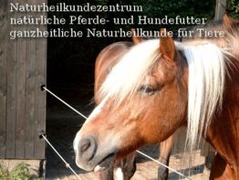 Braunes Pferd vor Holzschuppen; Text: Naturheilkunde für Tiere, Pferde- und Hundefutter.