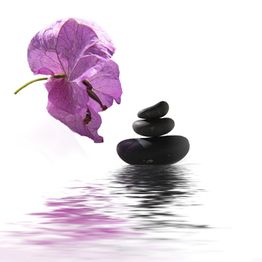 Lila Blüte und gestapelte Steine am Wasser, spiegeln sich im ruhigen Wasser.