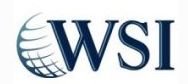 WSI logo with a stylized globe on the left.