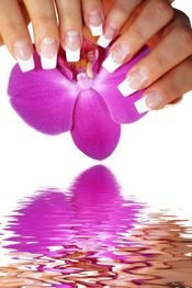 Hände mit French Nails halten eine violette Blume über Wasser mit Spiegelung.