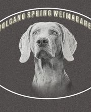 Volcano Spring - Weimaraner Züchter Logo