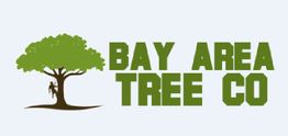 Silhouette of a person climbing a tree next to the text "Bay Area Tree Co" in green.