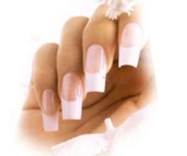 Nagelmodellage Janette Logo