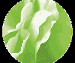 doniedesign - Grafikbüro
Logo