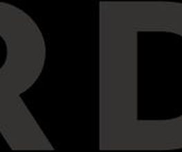 Richard Seidl Consulting Logo